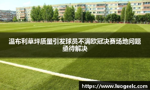 温布利草坪质量引发球员不满欧冠决赛场地问题亟待解决